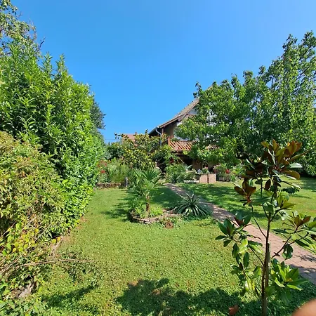 Borostyan Haz Vakantiehuis Felsőörs