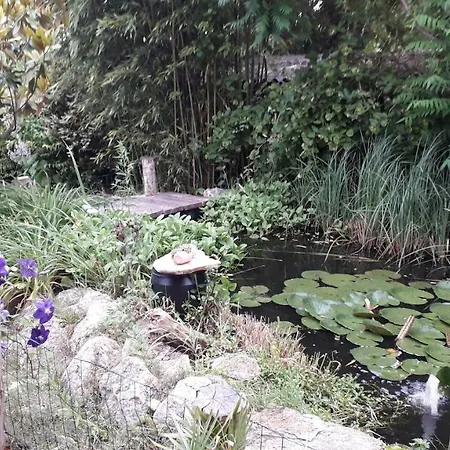 Сasa de vacaciones Borostyán Ház Felsőörs