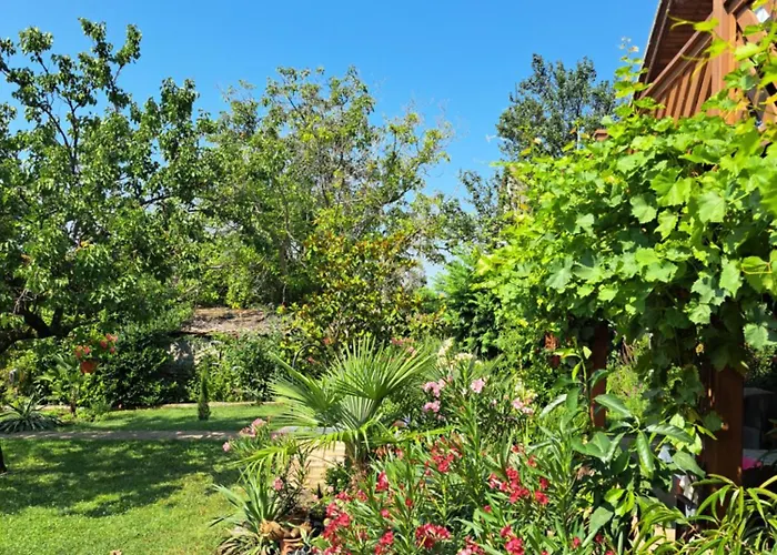 Дом отдыха Borostyan Haz *