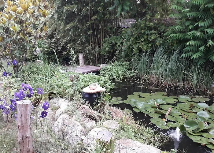 Дом отдыха Borostyan Haz Felsoors